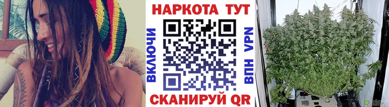 Хочу наркоту Ясногорск A PVP  Каннабис  Псилоцибиновые грибы  Cocaine 