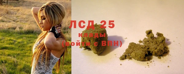 эйфоретик Верея