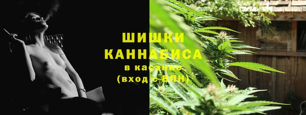 ПСИЛОЦИБИНОВЫЕ ГРИБЫ Верхний Тагил