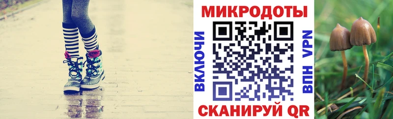 наркота  Ясногорск  Галлюциногенные грибы MAGIC MUSHROOMS 